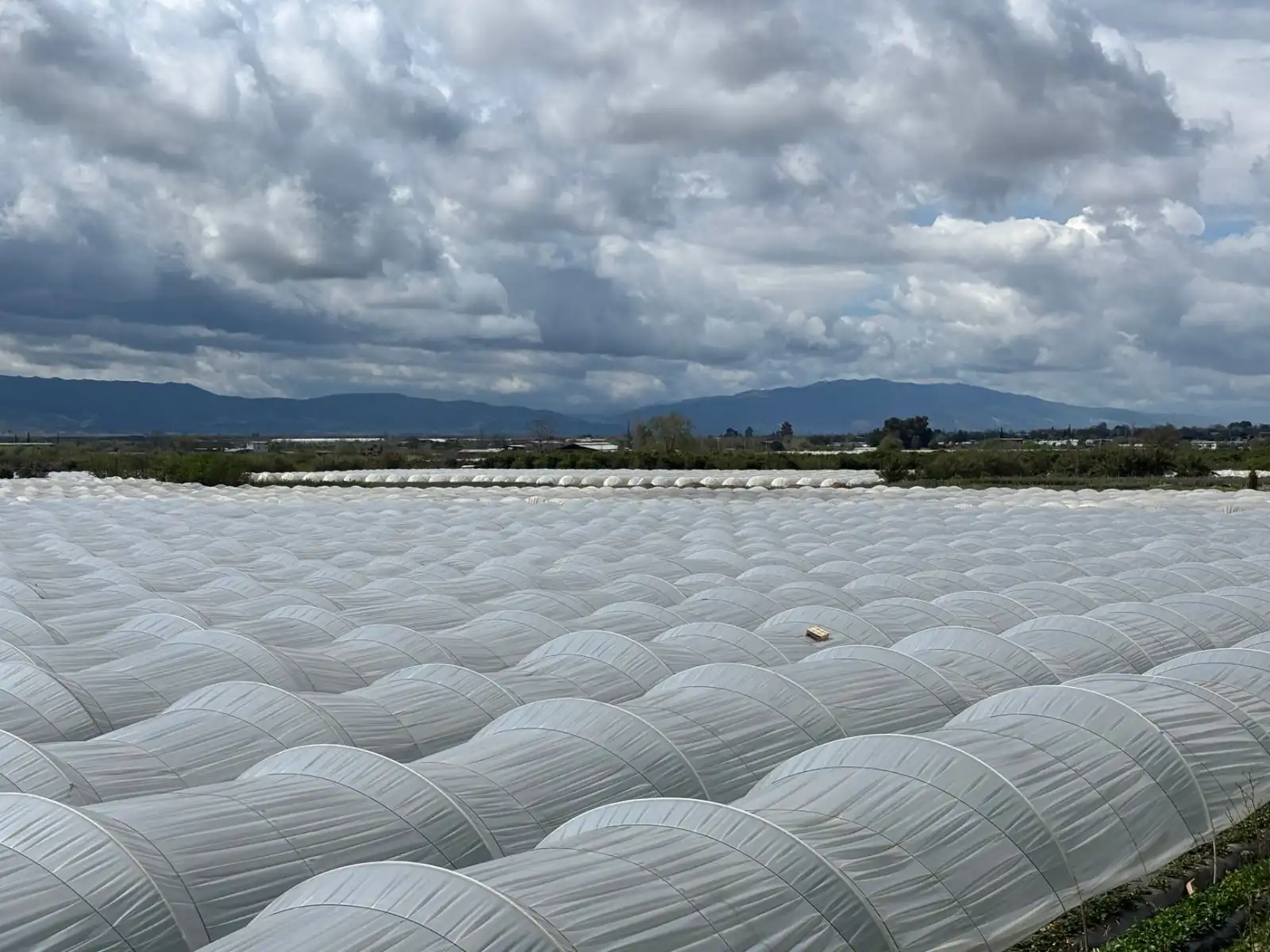 重庆工厂电机与水泵配套选型：机电设备运行稳定性提升要点解析